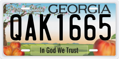 GA license plate QAK1665