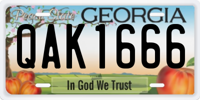 GA license plate QAK1666