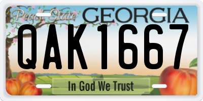 GA license plate QAK1667