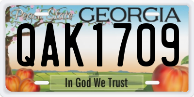 GA license plate QAK1709