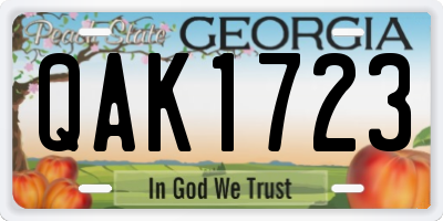 GA license plate QAK1723