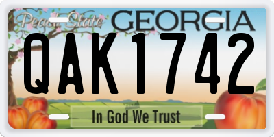GA license plate QAK1742