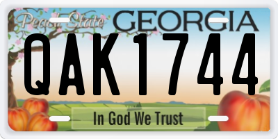 GA license plate QAK1744