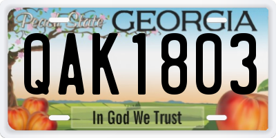 GA license plate QAK1803