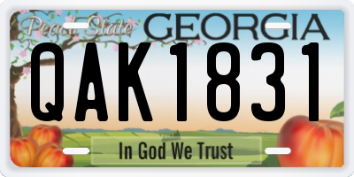 GA license plate QAK1831