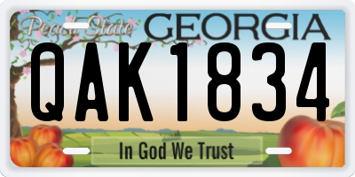 GA license plate QAK1834