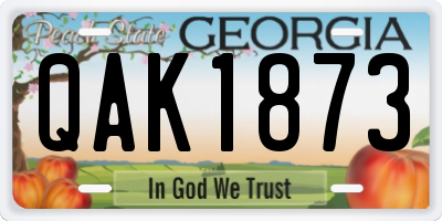 GA license plate QAK1873