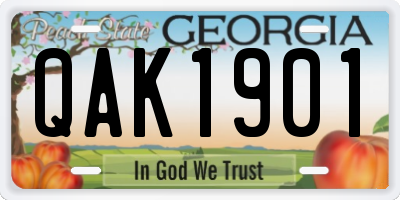 GA license plate QAK1901