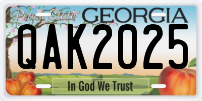 GA license plate QAK2025