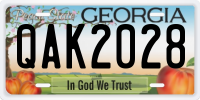 GA license plate QAK2028