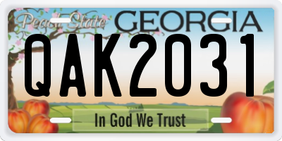 GA license plate QAK2031