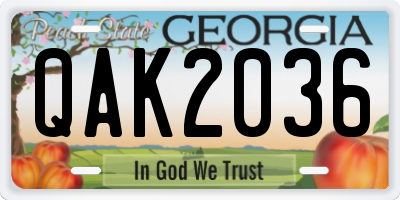 GA license plate QAK2036