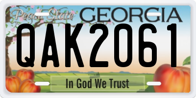 GA license plate QAK2061