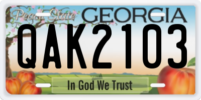 GA license plate QAK2103