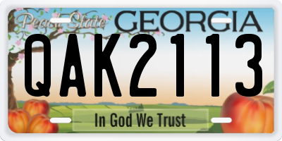 GA license plate QAK2113