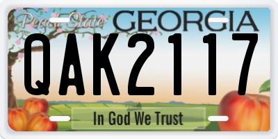 GA license plate QAK2117