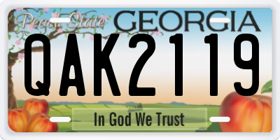 GA license plate QAK2119