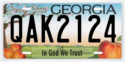 GA license plate QAK2124