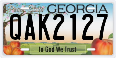 GA license plate QAK2127