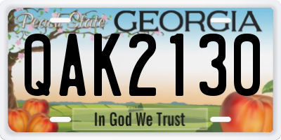 GA license plate QAK2130