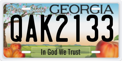 GA license plate QAK2133