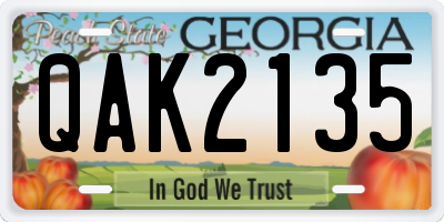 GA license plate QAK2135