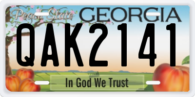 GA license plate QAK2141