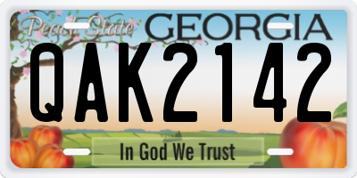 GA license plate QAK2142