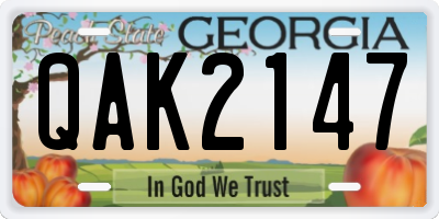 GA license plate QAK2147