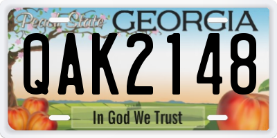 GA license plate QAK2148