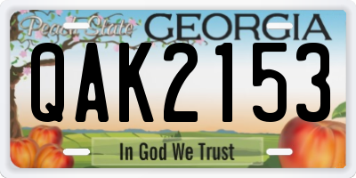 GA license plate QAK2153