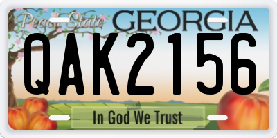 GA license plate QAK2156