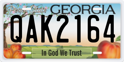 GA license plate QAK2164