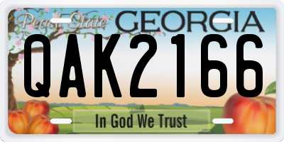 GA license plate QAK2166