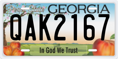 GA license plate QAK2167