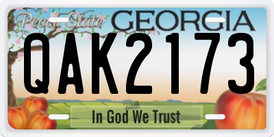 GA license plate QAK2173