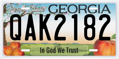 GA license plate QAK2182