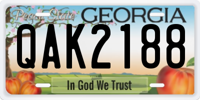 GA license plate QAK2188