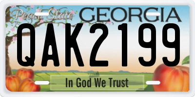 GA license plate QAK2199