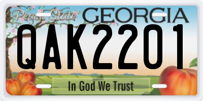 GA license plate QAK2201