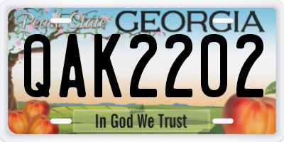 GA license plate QAK2202