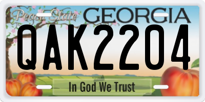 GA license plate QAK2204