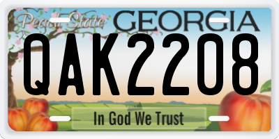 GA license plate QAK2208