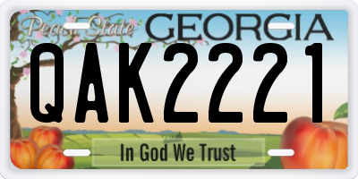 GA license plate QAK2221