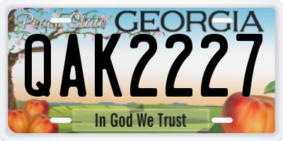GA license plate QAK2227