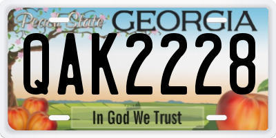 GA license plate QAK2228