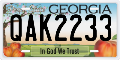 GA license plate QAK2233