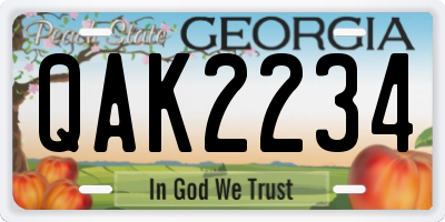 GA license plate QAK2234