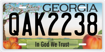 GA license plate QAK2238