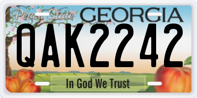 GA license plate QAK2242